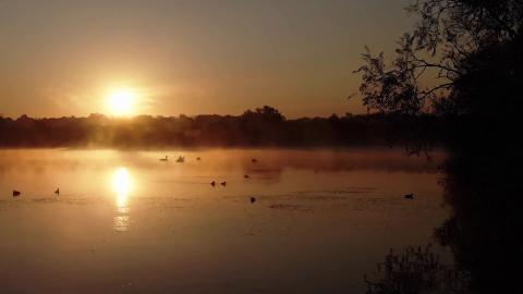 Morning meditation guided  Positive Energy  Meditarium - ...