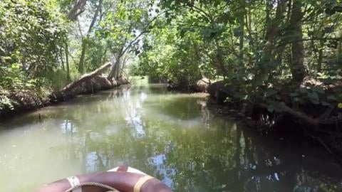 Traffic Jam In Backwaters | Poovar | Kerala