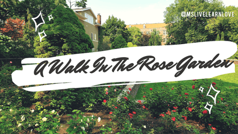 Walk Through A Rose Garden | Nature Therapy | Virtual Wal...