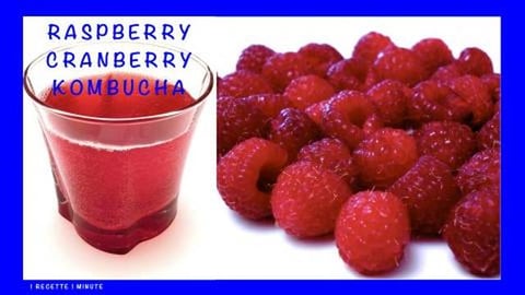 Raspberry Cranberry Kombucha / Healthy, Sparkling & Refre...