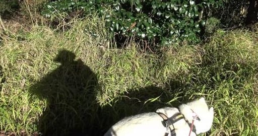 Following the old tramway - fail, but look at the view