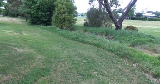 Hot but overcast walk too see Malamute puppy