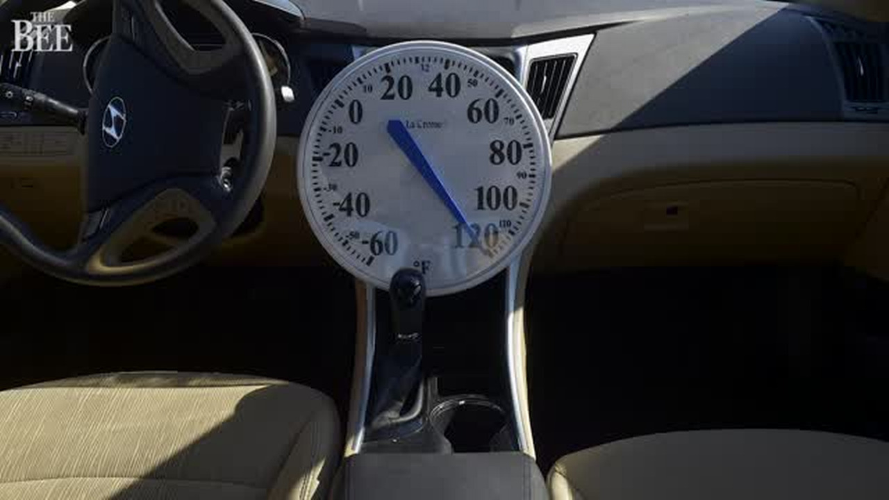 Gig Harbor City Council Hot cars, hot dogs and a hot topic