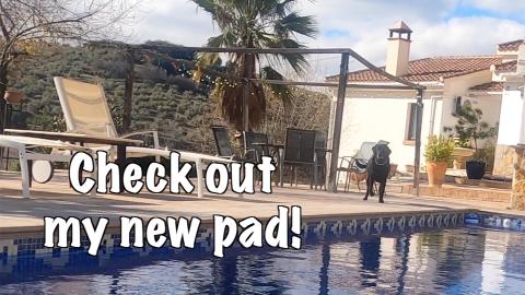 Percy the Labrador moves to Montefrio