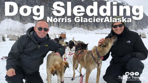 Husky Dog Sledding On Norris Glacier (Juneau Alaska)