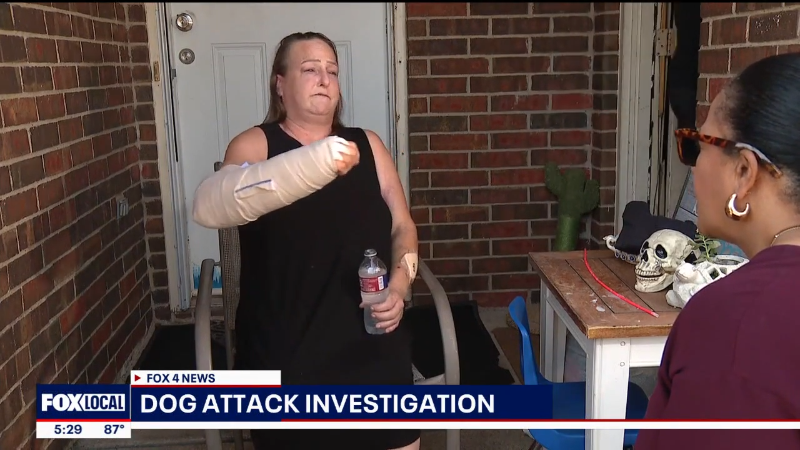 Woman attacked by dog in Lake Worth recovering (Video) | Fort Worth ...