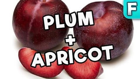 Summer Punch Pluot | Fruits You've Never Heard Of