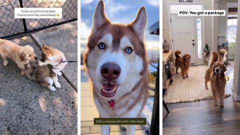 A Full Week with my Old Friend