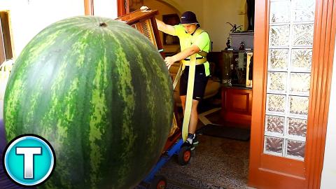 10 Massive Fruits and Vegetables