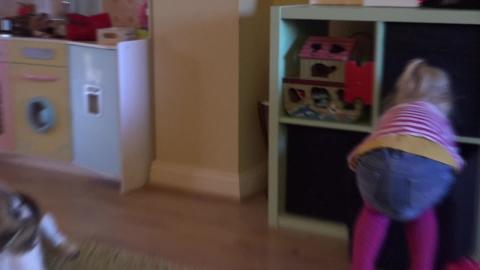 I told my child that our dog has no toys,  she decided to...