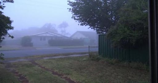 Puppers enjoy a foggy morning and sunshower in arvo