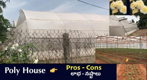 INDIAN POLY HOUSE TOUR || BY BB CHEF