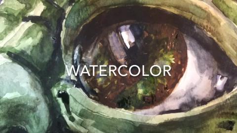 Watercolor Painting Timelapse - Eye of Yoda 