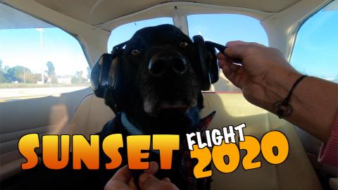 Sunset flight with Percy the Labrador
