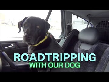 Percy the Labrador goes on a Grand Tour to Spain