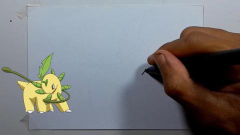 Drawing Pokemon BAYLEEF