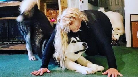 Best Personal Trainers | My Dogs Make Working Out FUN!