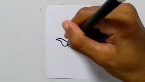 Drawing tatto v200 2025 shorts