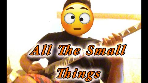 Crazy Kid Plays All The Small Things on Guitar
