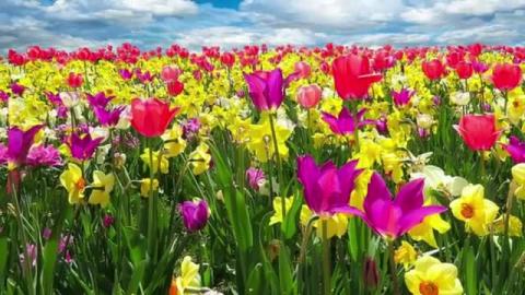 Relaxing-Music-With-Beautiful-HD-_-4k- Full HD