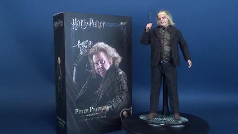 Star Ace Harry Potter Peter Pettigrew Sixth Scale Figure ...