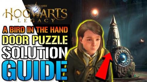 Hogwarts Legacy: A Bird In The Hand! Door Puzzle Solution...