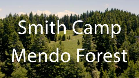 Smith Camp Drone Tree Fly Over - Coming In Hot.