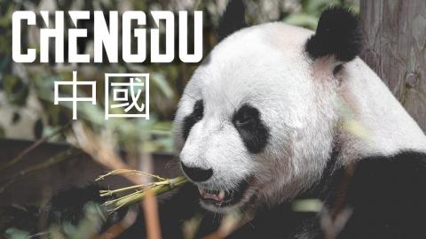 Chengdu Giant Panda Research Base Visit | China Travel Vl...