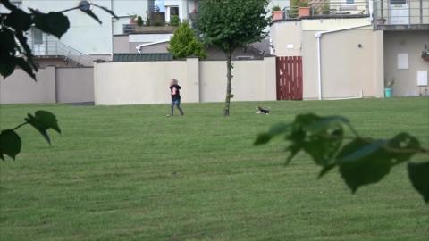 Little Girl Meets Her New Puppy
