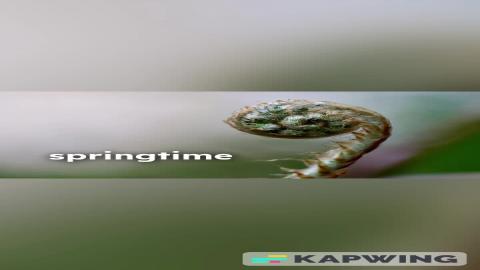 Fiddleheads - A Forager's Springtime Delicacy