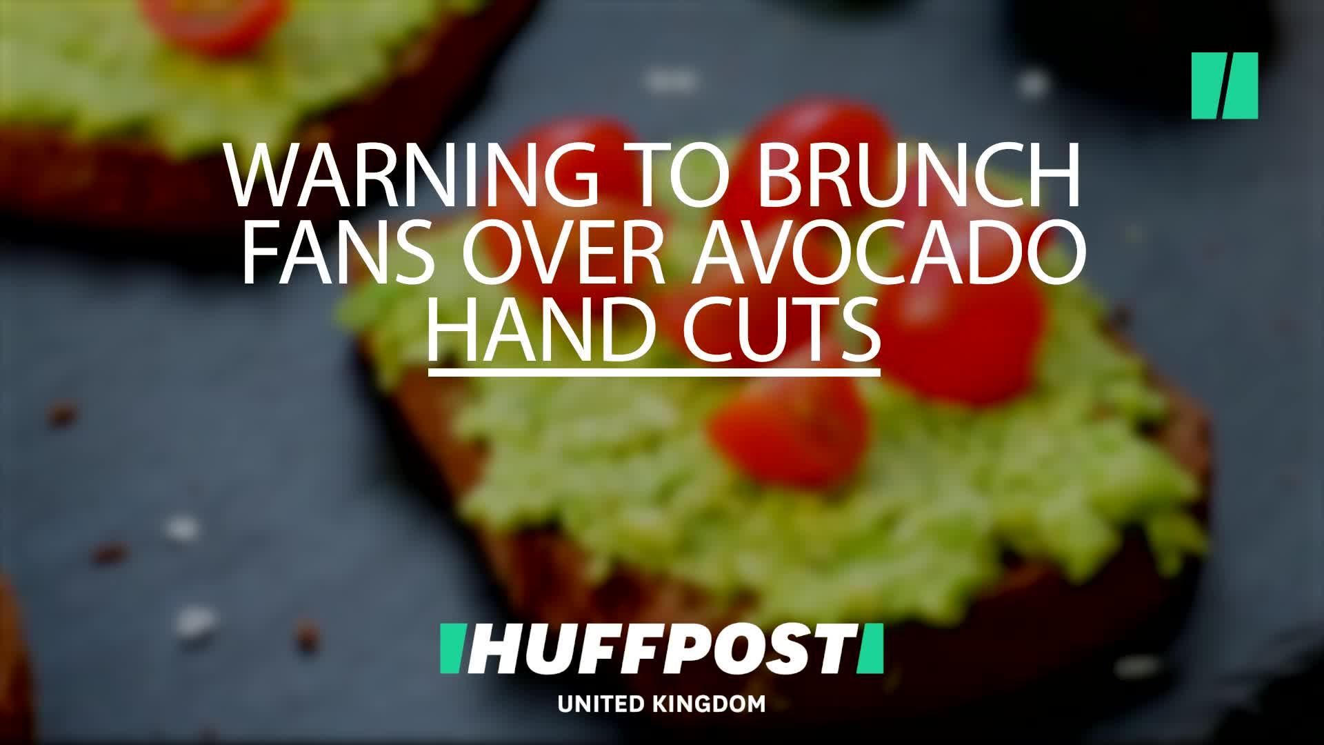 Warning Over Avocado Hand Cutting Risk As Brunch Fans Left With Nerve ...