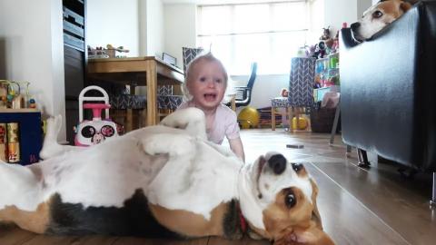 Cute Baby is So Gentle With Her Dogs