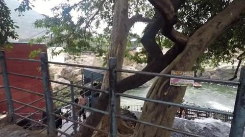 Hogenakkal Falls | Kaveri River |Tamil Nadu