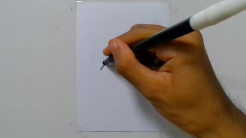 Drawing Graffiti Blue Bird