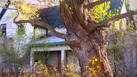 Dancing with Skeletons in a Haunted House. 