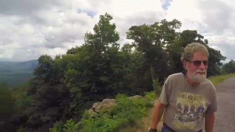 WILD BEARS! In the Great Smoky Mountains National Park