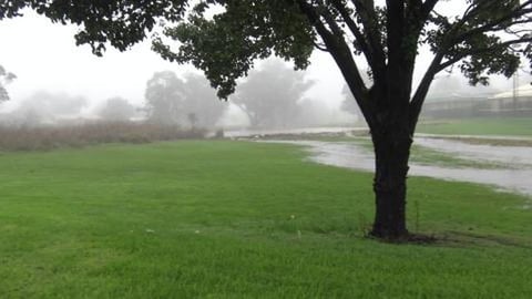 The pond opposite where Malamute Nala was staying is a la...
