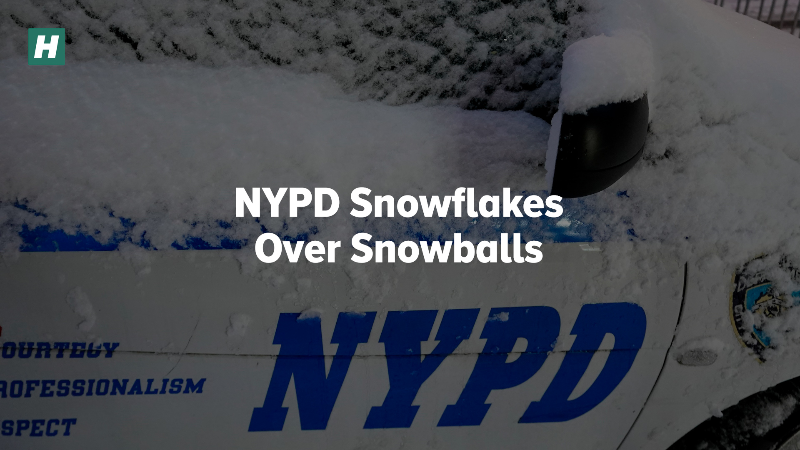 Mamdani Critics Melt Down After Rowdy NYC Snowball Fight | HuffPost ...