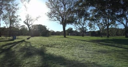 Huskies explore the Toowoomba showgrounds