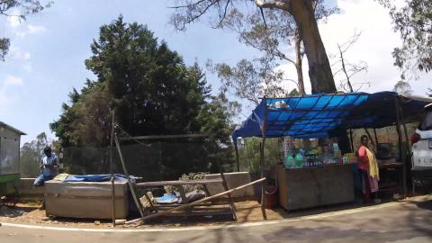 On The Way To Moir Point | Kodaikanal | Tamil Nadu