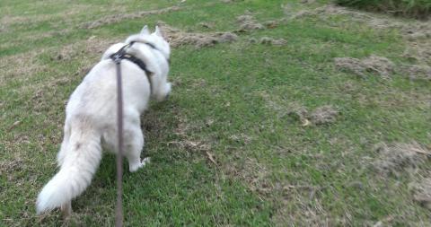 Walk down and into West Creek