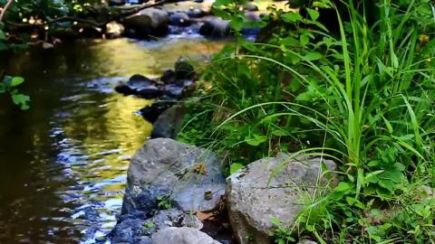 mintutes meditation-music relaxing 2026