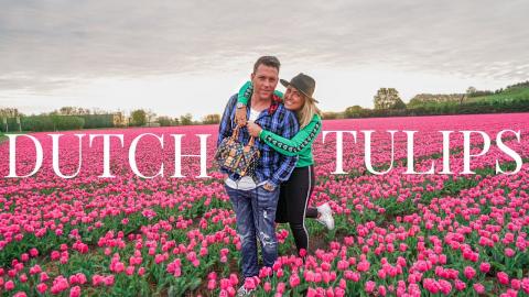 AMAZING DUTCH TULIP FLOWER FIELDS TOUR NEAR KEUKENHOF | T...
