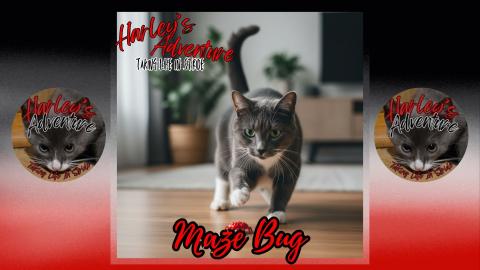 Maze Bug Music Lyrics