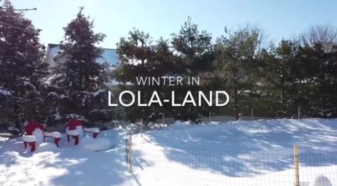 Lola wants to dance.... Winter in Lola-Land 