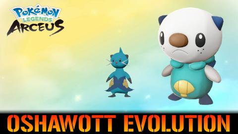Pokemon Legends Arceus: Oshawott Evolution into Dewott