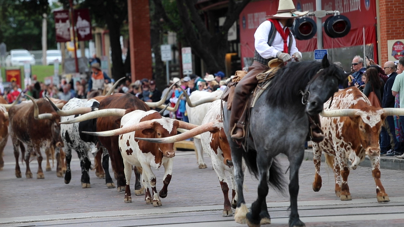 Fort Worth Stockyards National Historic District - All You Need to Know  BEFORE You Go (with Photos)