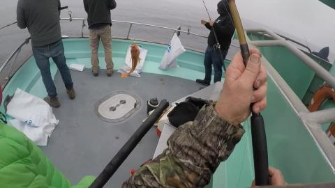 Lost the Fishing Pole in Bodega Bay