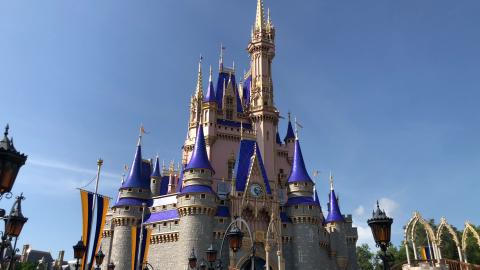 FIRST LOOK - Magic Kingdom - Cinderella Castle painting u...