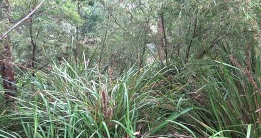 Husky Mack is not happy about something